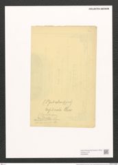 Stauroneis desiderata Cleve (de-Toni-Nr.: Genus 6, Species 928) Zeichnungen Sammlung Grunow (NHMW-BOT-W0368688)